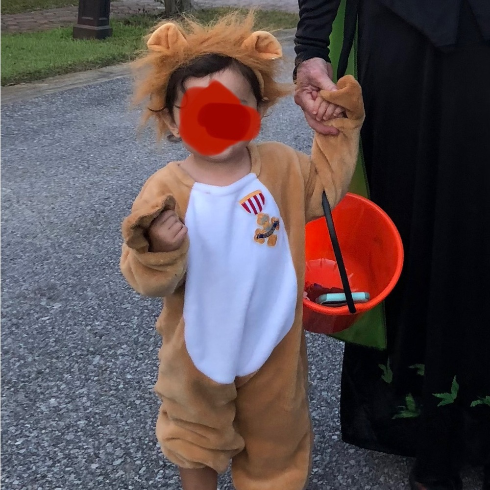 Cowardly Lion Costume - The Wizard of Oz 2T